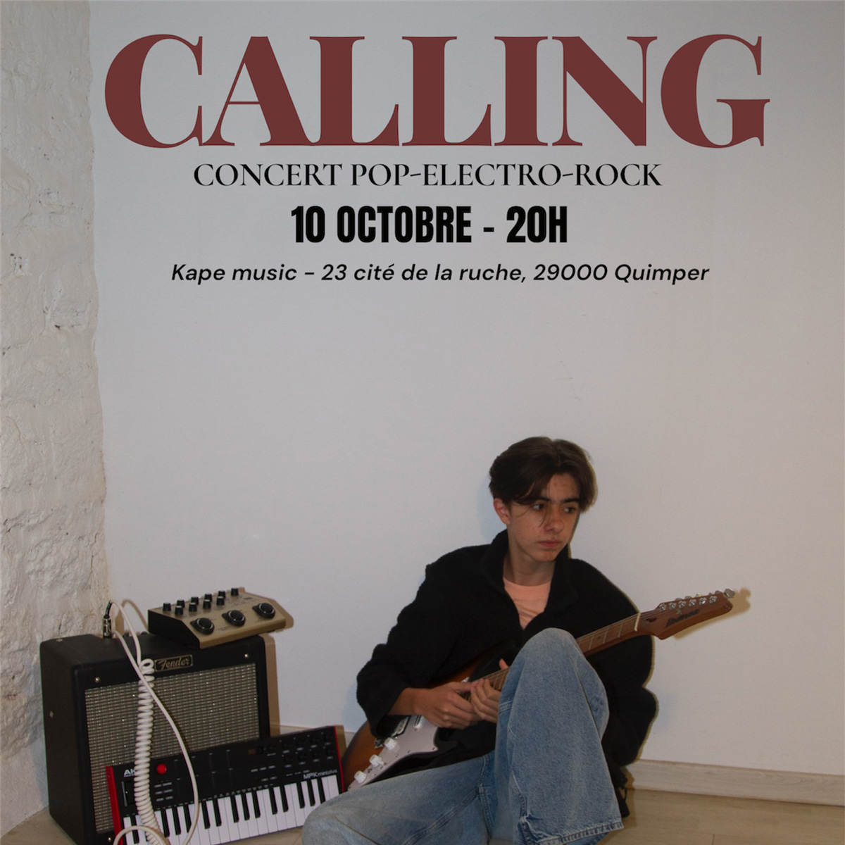 Concert pop rock